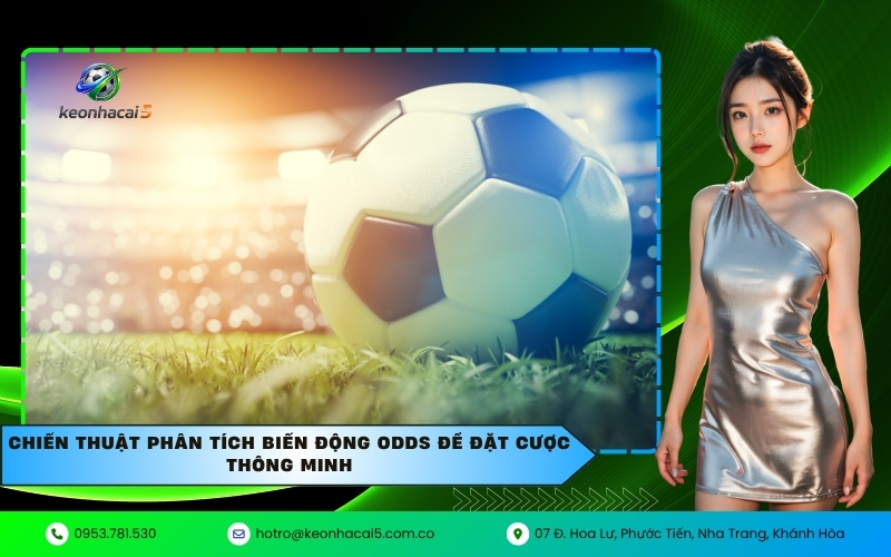 Chiến thuật phân tích biến động odds để đặt cược thông minh