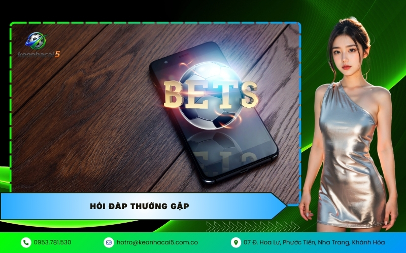 Hỏi Đáp Thường Gặp