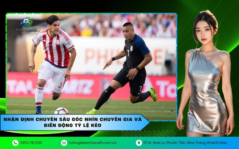 Nhận định chuyên sâu góc nhìn chuyên gia và biến động tỷ lệ kèo
