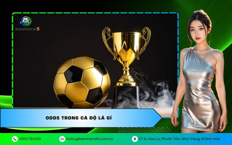 Odds trong cá độ là gì