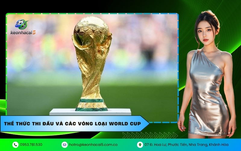 Thể thức thi đấu và các vòng loại World Cup